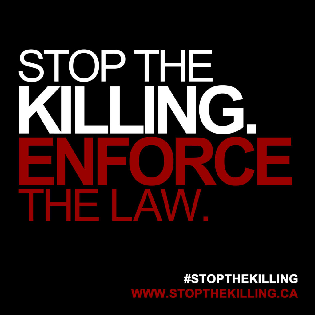 Image: Black box with white and red text: Stop the killing. Enforce the law.