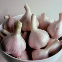 Featured image for OHC – Annual Organic Locally-Grown Garlic Fundraiser