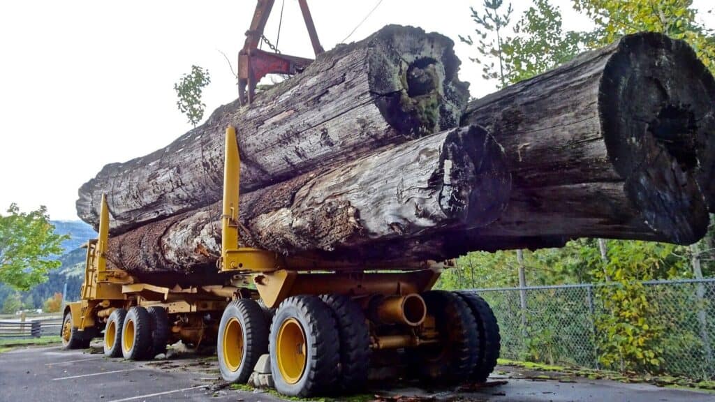 Forestry logging truck