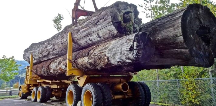Forestry logging truck